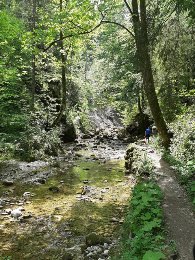 Ferienwohnung Elsa Immenstadt im Allgäu Eksteriør bilde